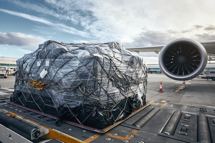 Project Logistics