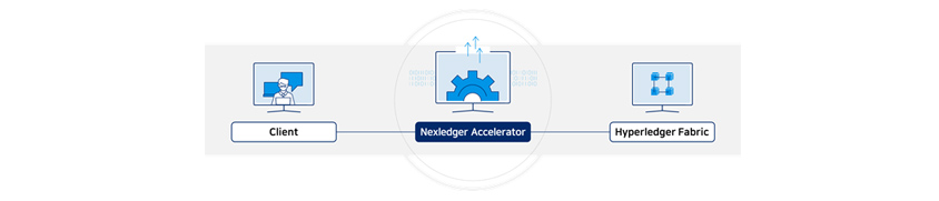 Client connects to Hyperledger Fabric with the Nexledger Accelerator function, second-layer architecture software.