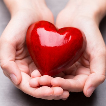 Worldwide SDS’s “Share the Love” Volunteer Festival thumbanil image