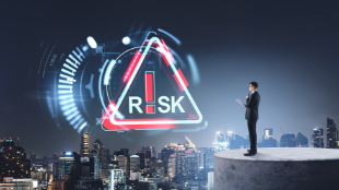 Over the Coming Wave <br> - Part 2 Strategies for AI Risk Management thumbanil image