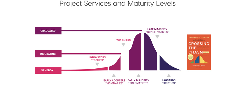 Project Services and Maturity Levels