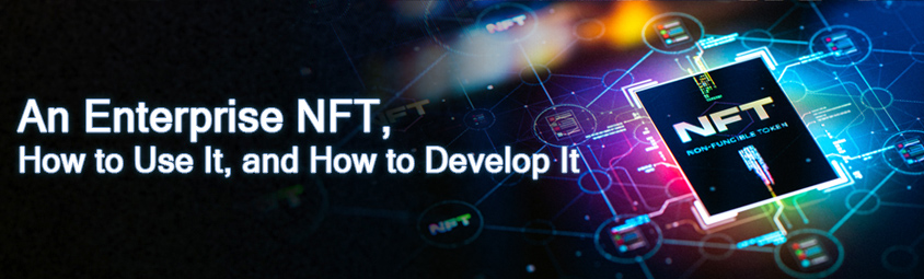 An Enterprise NFT, How to Use It, and How to Develop It