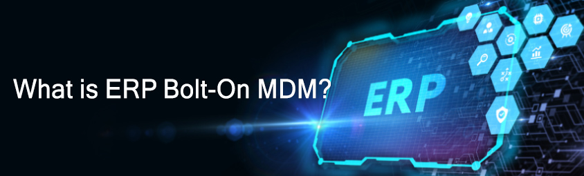 What is ERP Bolt-On MDM?