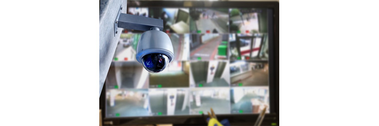 D-Net development for security by analyzing CCTV video