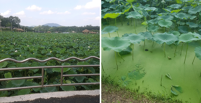 용인 산골짜기에 숨겨진 절을 찾아서!