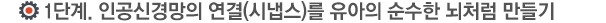 1단계, 인공신경망의 연결을 유아의 순수한 뇌처럼 만들기