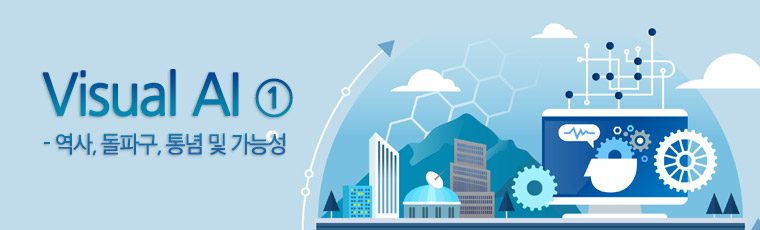 비쥬얼 AI - 역사,돌파구, 통념 및 가능성