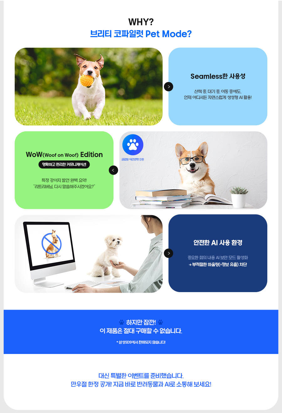 Brity_copilot_pet_Mode_image_pc_04