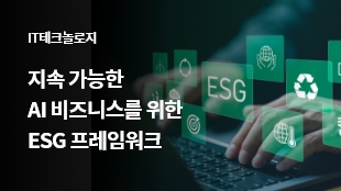 지속 가능한 AI 비즈니스를 위한 ESG 프레임워크 썸네일 이미지