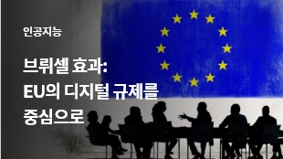 브뤼셀 효과: EU의 디지털 규제를 중심으로 썸네일 이미지