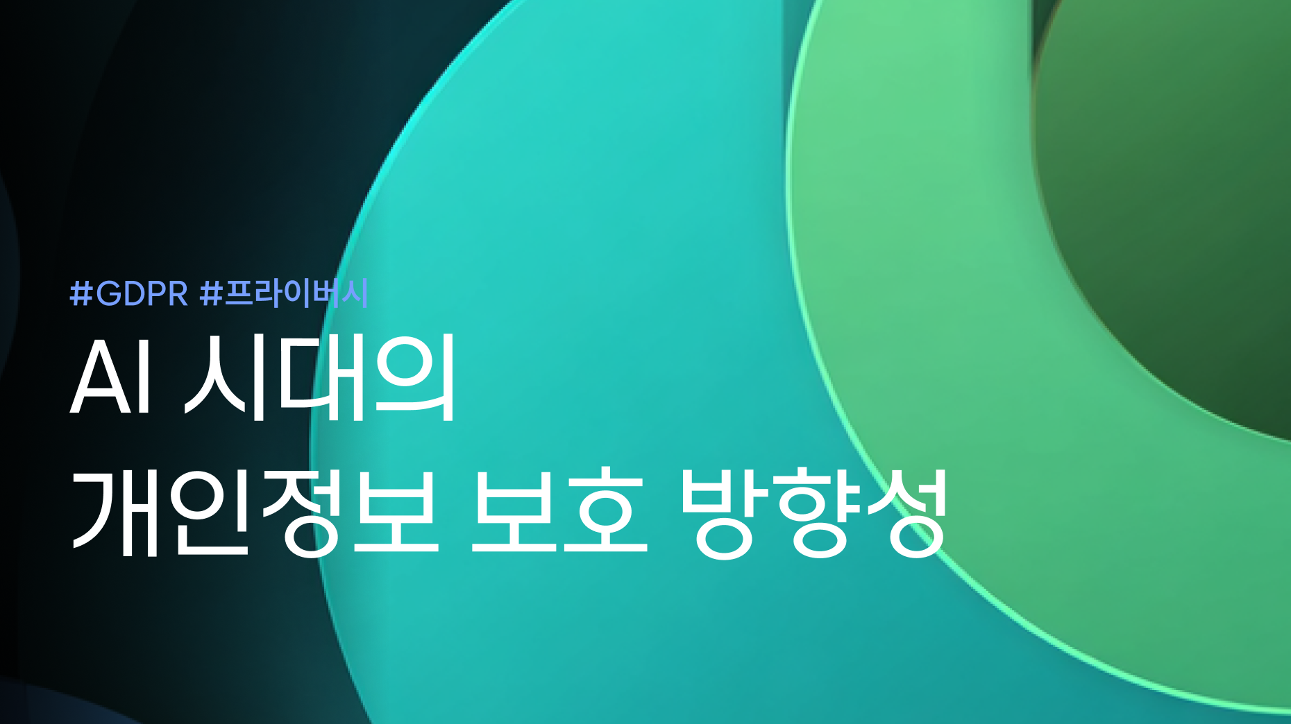 AI 시대의 개인정보 보호 방향성에 대한 고찰 및 시사점 썸네일 이미지