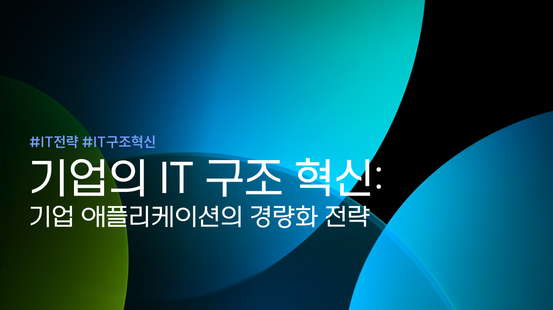 기업의 IT 구조 혁신: 기업 애플리케이션의 경량화 전략 썸네일 이미지