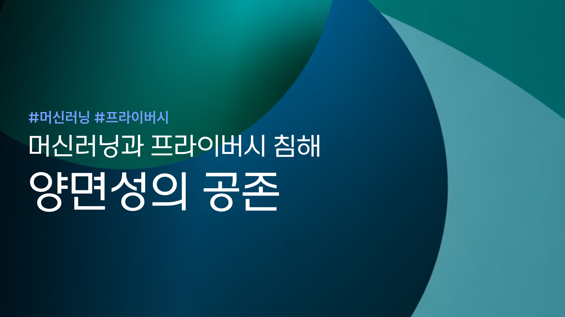 양면성의 공존: 머신러닝과 프라이버시 침해 썸네일 이미지