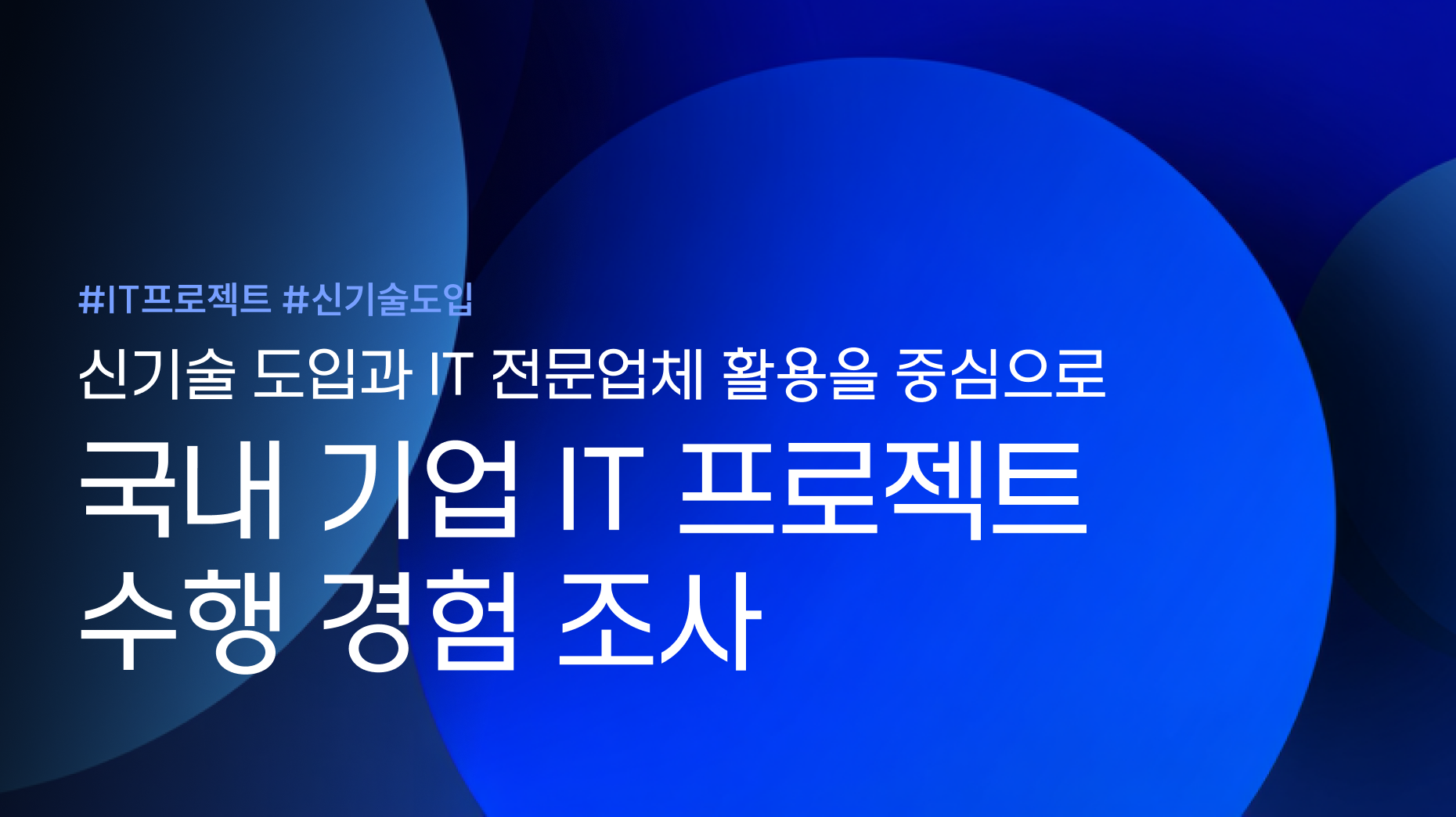 국내 기업 IT 프로젝트 수행 경험 조사 <br>- 신기술 도입과 IT 전문업체 활용을 중심으로 썸네일 이미지