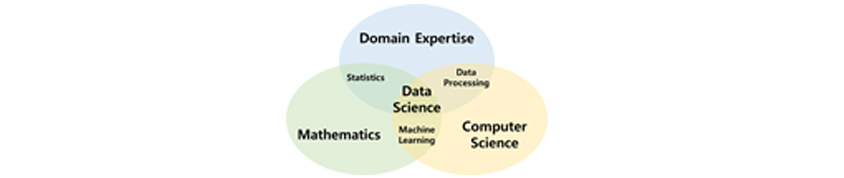 domain expertise,mathematics,data science,computer science