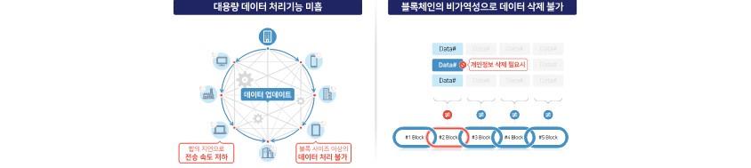 합의지연으로 전송속도저하, 블록사이즈 이상의 데이터처리불가등 대용량 데이터 처리기능 미흡과 블록체인의 비가역성으로 데이터 삭제불가를 이미지로 설명