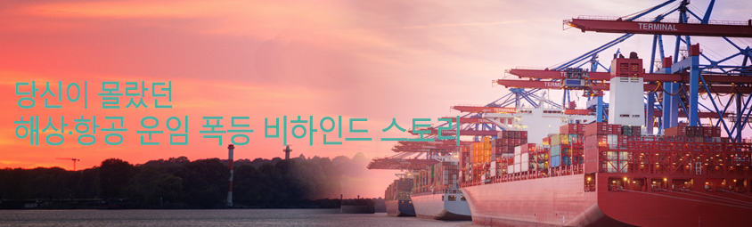 당신이 몰랐던 
해상·항공 운임 폭등 비하인드 스토리
