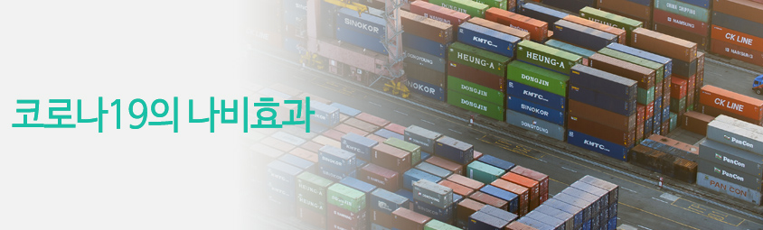 코로나19의 나비효과