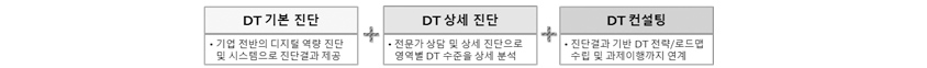 DT 기본 진단 - 기업 전반의 디지털 역량 진단 및 시스템으로 진단결과 제공, DT 상세 진단 - 전문가 상담 및 상세 진단으로 영역별 DT 수준을 상세 분석, DT 컨설팅 - 진단결과 기반 DT 전략/로드맵 수립 및 과제이행까지 연계