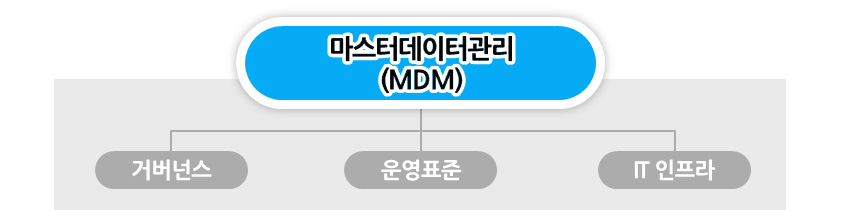 그림3. MDM 구성 요소