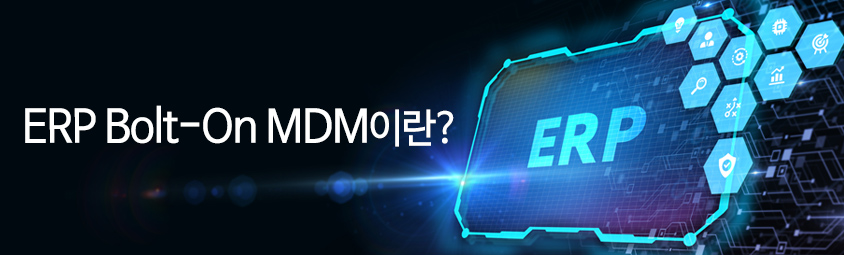 ERP Bolt-On MDM이란?