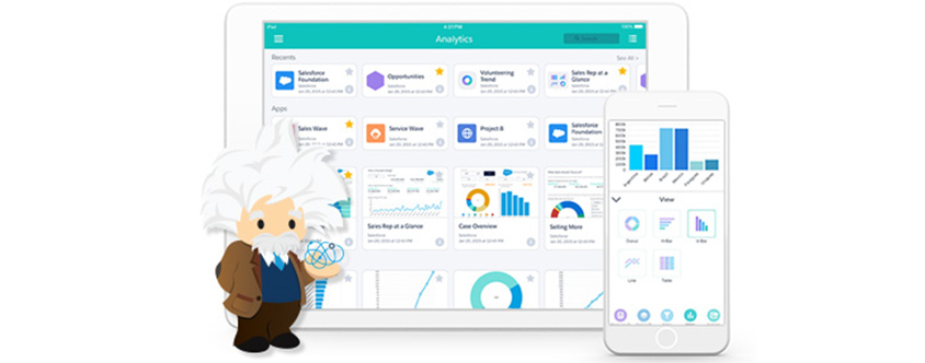 Salesforce Einstein 분석 화면