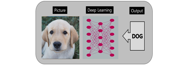 딥러닝을 활용한 강아지 분류: 딥러닝기술을 활용하여 강아지사진을 보고 강아지라고 분류할 수 있다. 