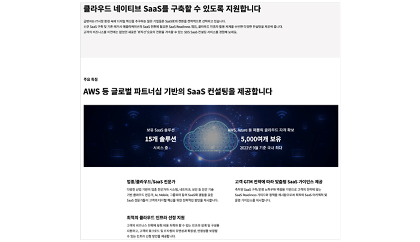 sds saas 컨설팅 페이지