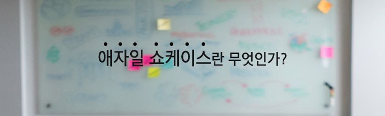 애자일 쇼케이스란 무엇인가