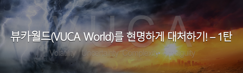 뷰카월드(VUCA World)를 현명하게 대처하기! – 1탄