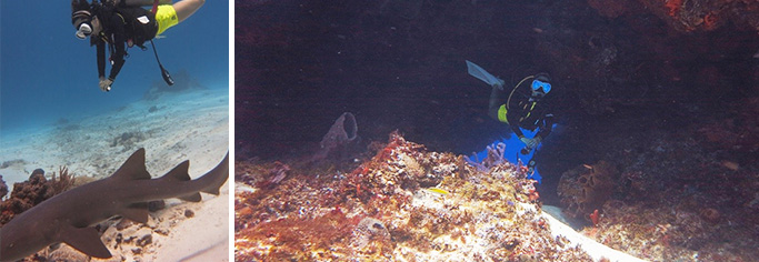 06