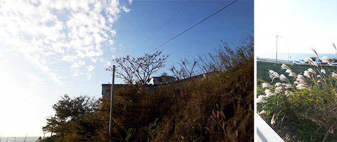 제주