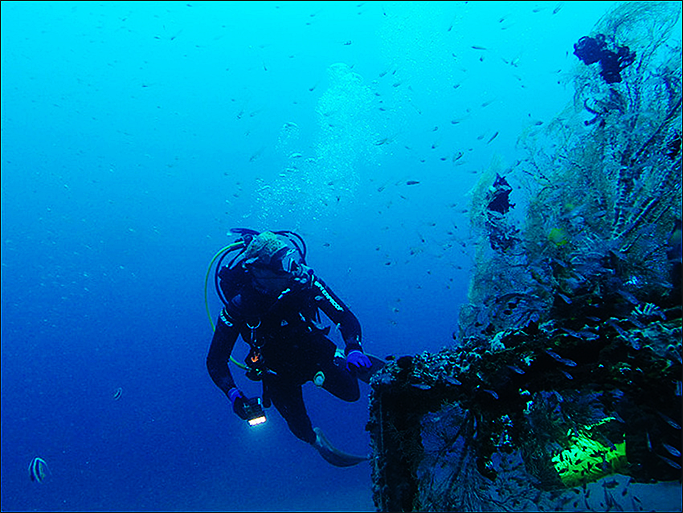필리핀 남부 두마게티(Dumaguete) 바다에 가라앉은 난파선에 핀 산호의 모습