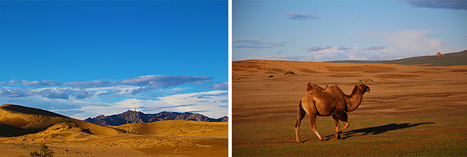 몽골사막