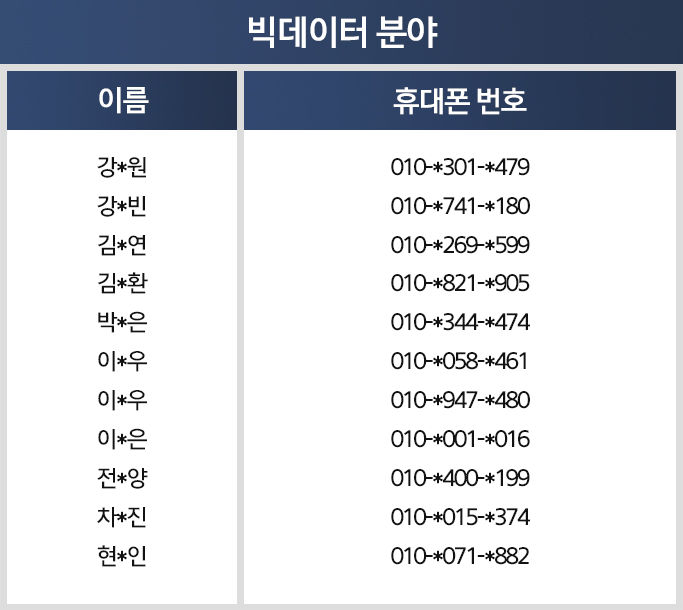 빅데이터 분야