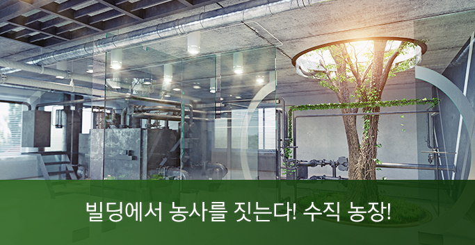 빌딩에서 농사를 짓는다! 수직 농장!