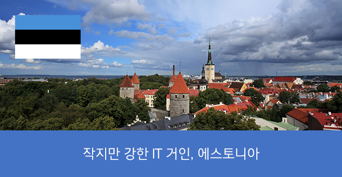 작지만 강한 IT 거인, 에스토니아