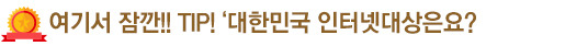 여기서 잠깐!! TIP! '대한민국 인터넷대상은요?'