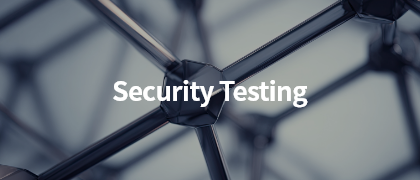 Security Testing