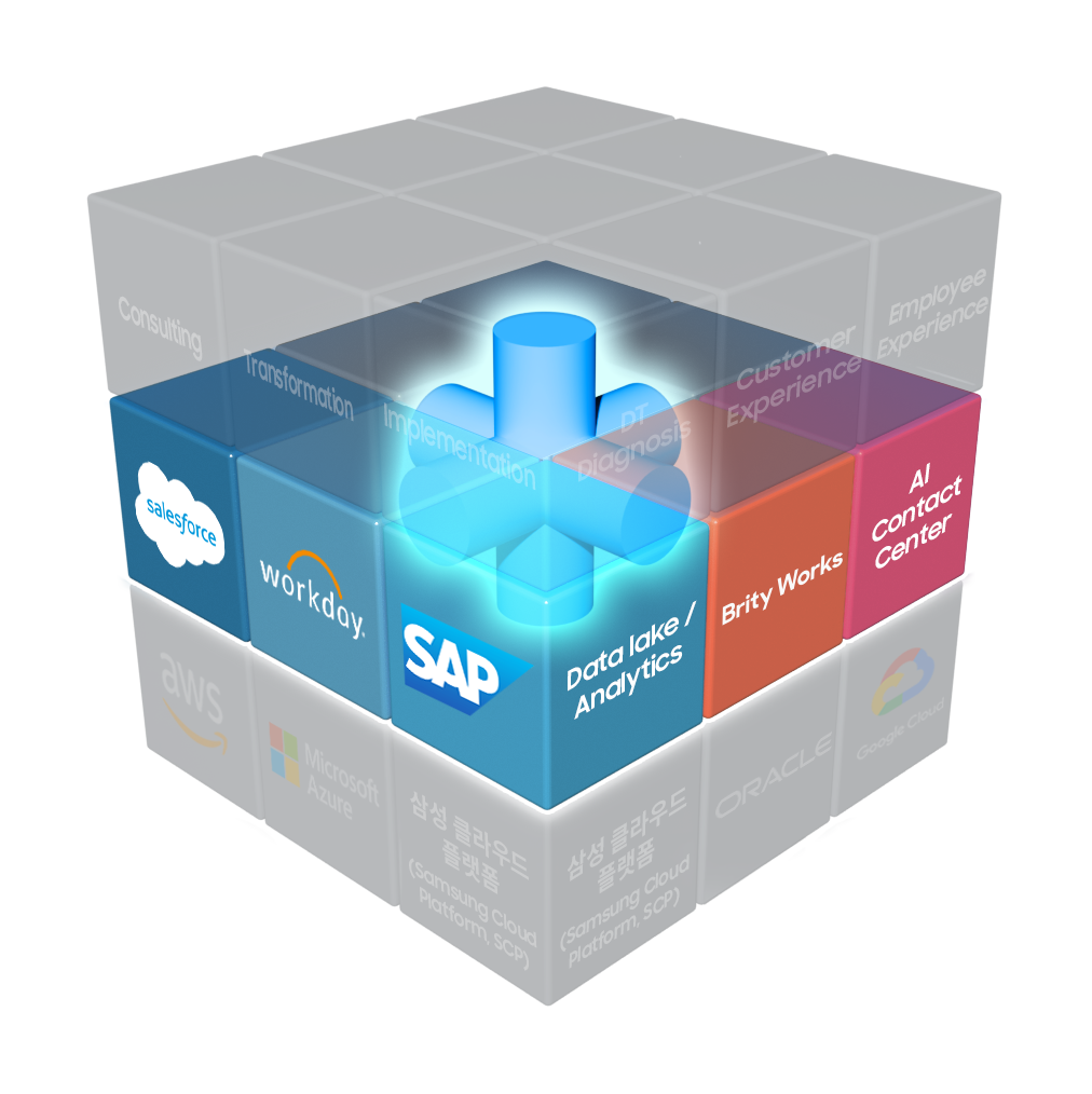 salesforce, workday, SAP, Data lake/ Analytics, Brity Works, AI Contact center