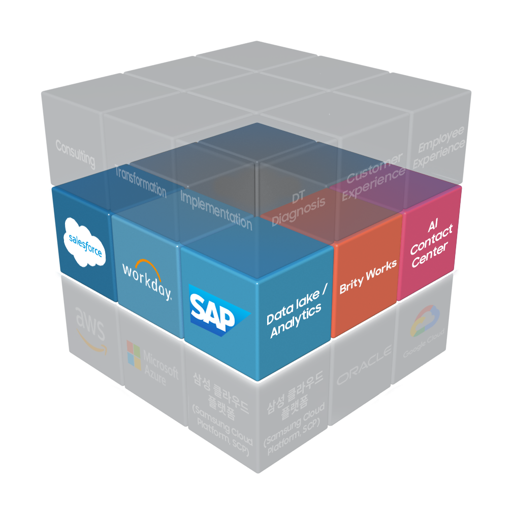 salesforce, workday, SAP, Data lake/ Analytics, Brity Works, AI Contact center