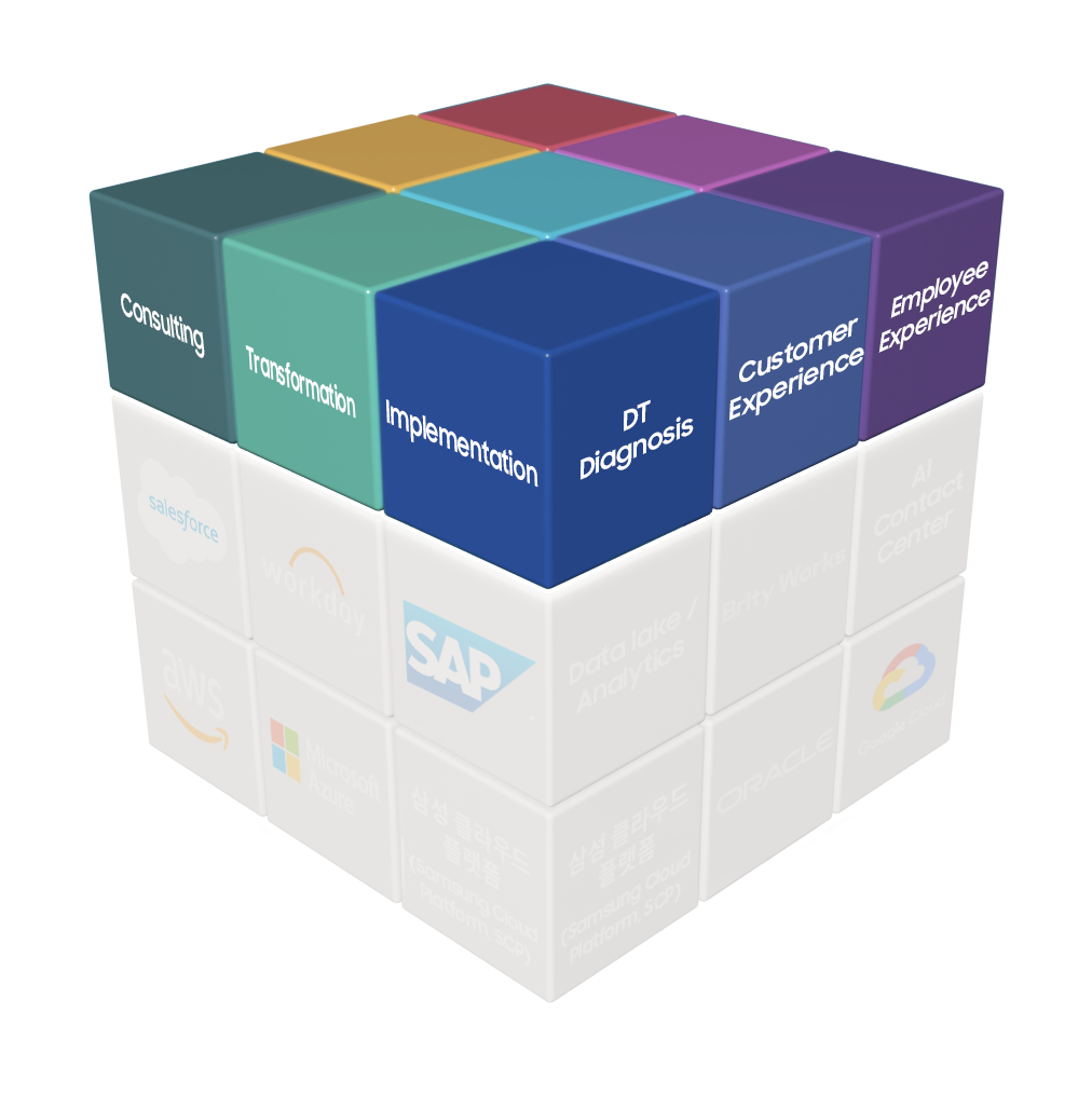 consulting, Transformation, Implementation, DT Diagnosis, Customer Experience, Employee Experience