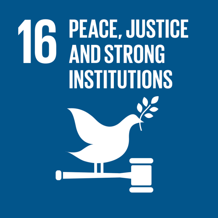 16. Peace, justice and strong institutions