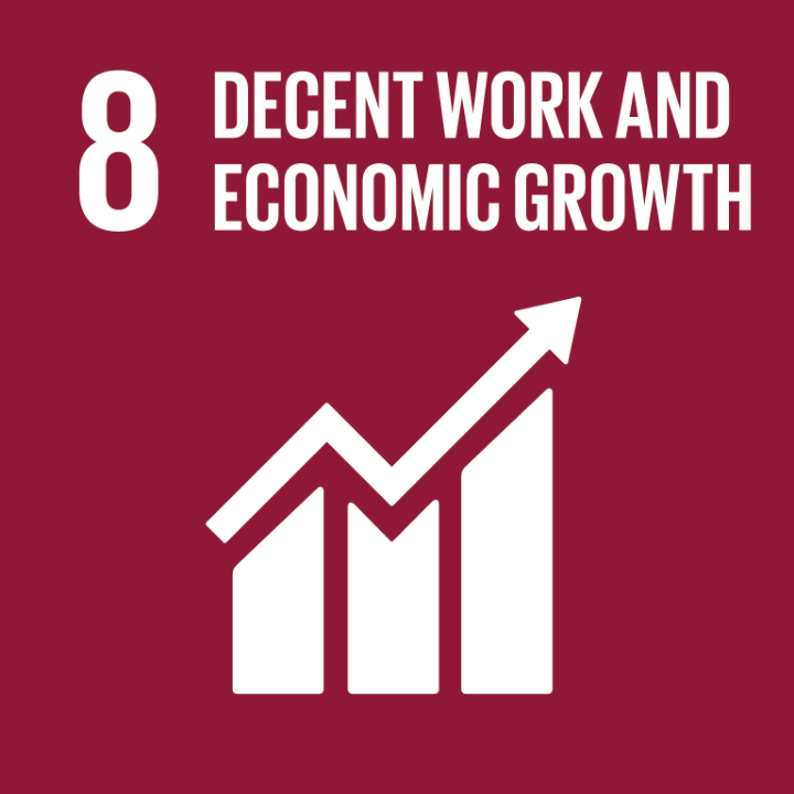 DECENT WORK AND ECONOMIC GROWTH