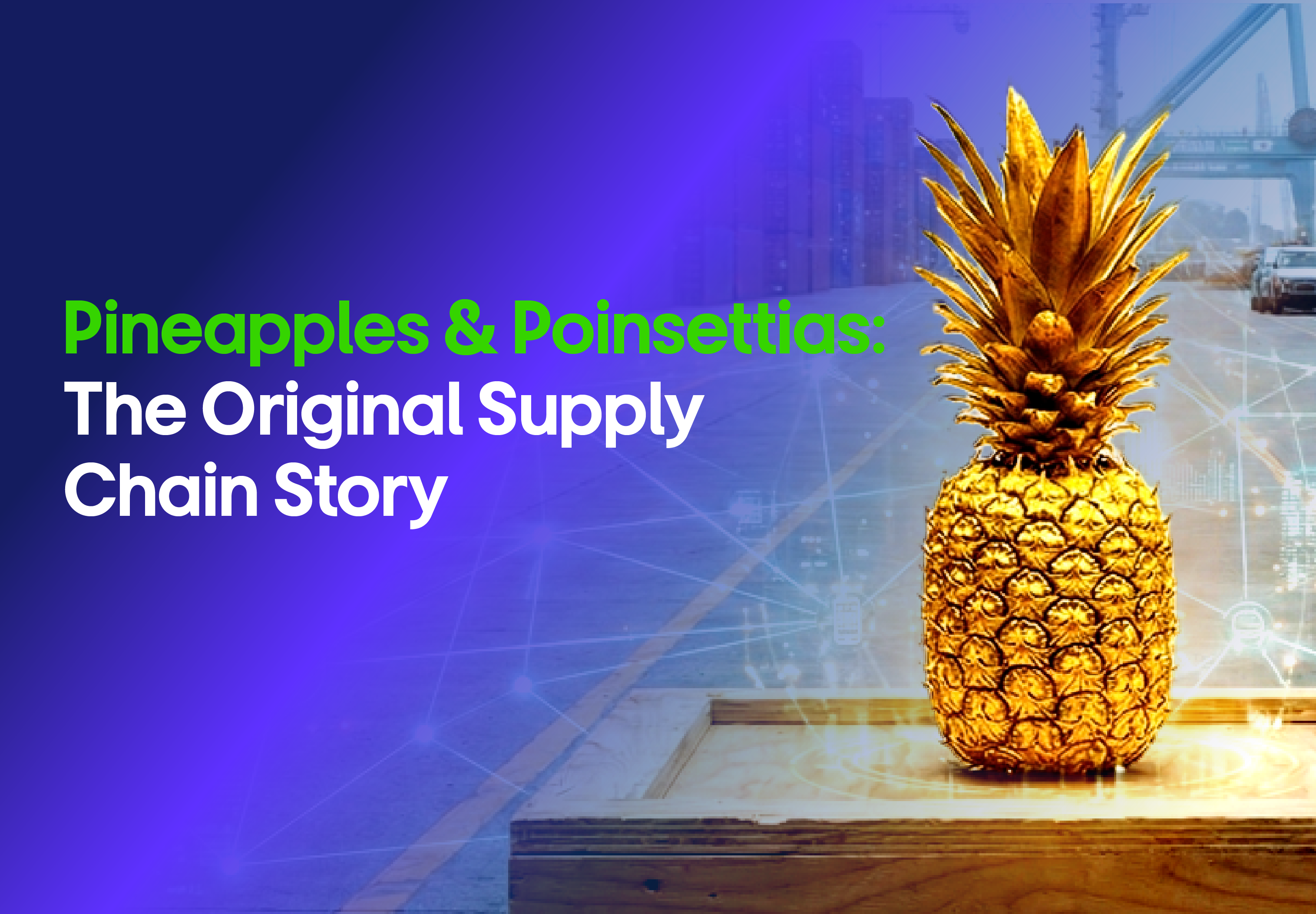 Pineapples & Poinsettias: The Original Supply Chain Story thumbanil image